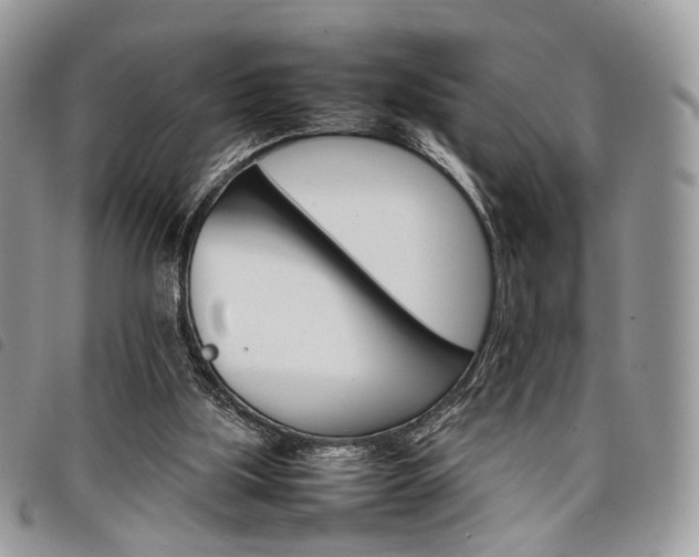 X0000098040059200804071452