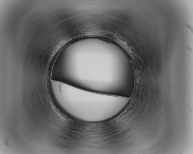 X0000098040060200804071452