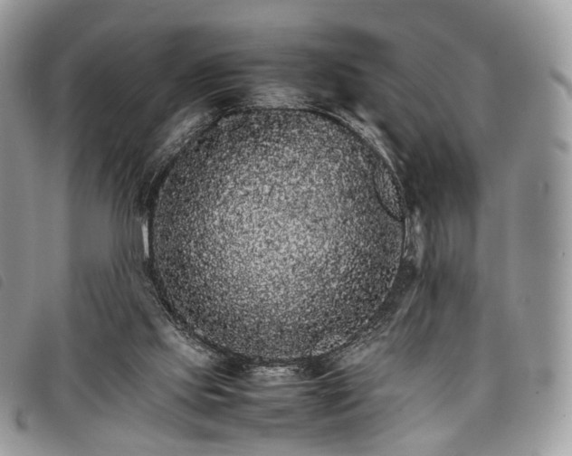 X0000098040061200804071452