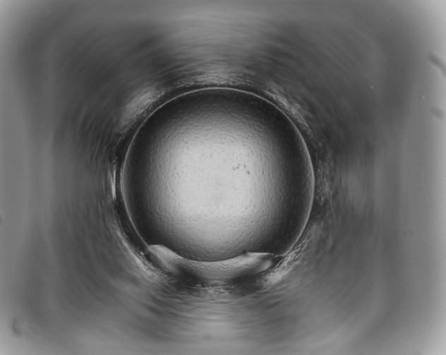 X0000098040062200804071452