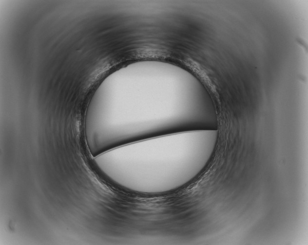 X0000098040063200804071452