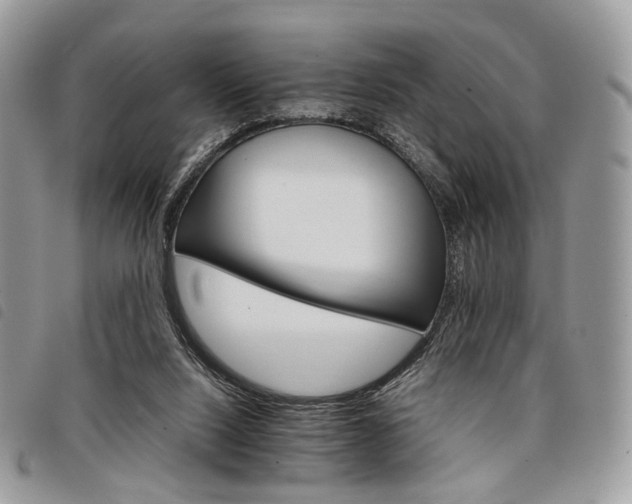 X0000098040064200804071452