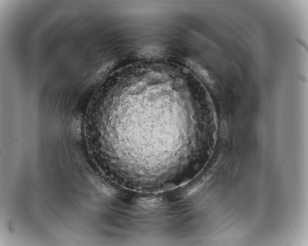 X0000098040065200804071452