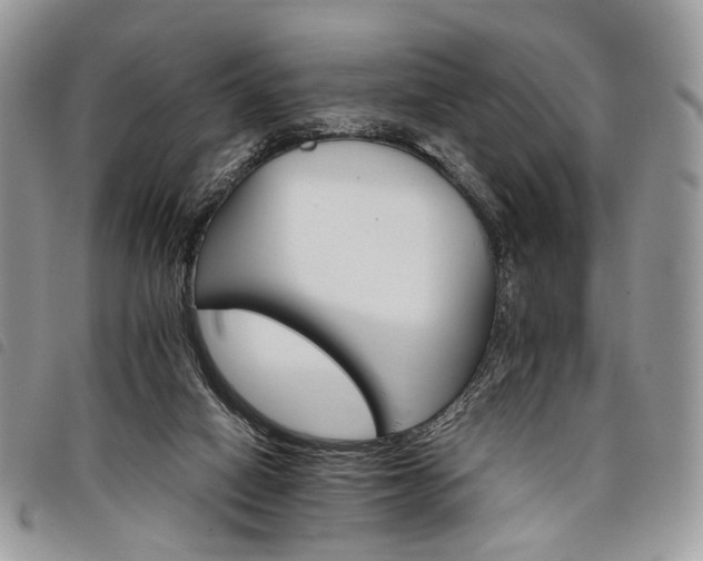 X0000098040066200804071452