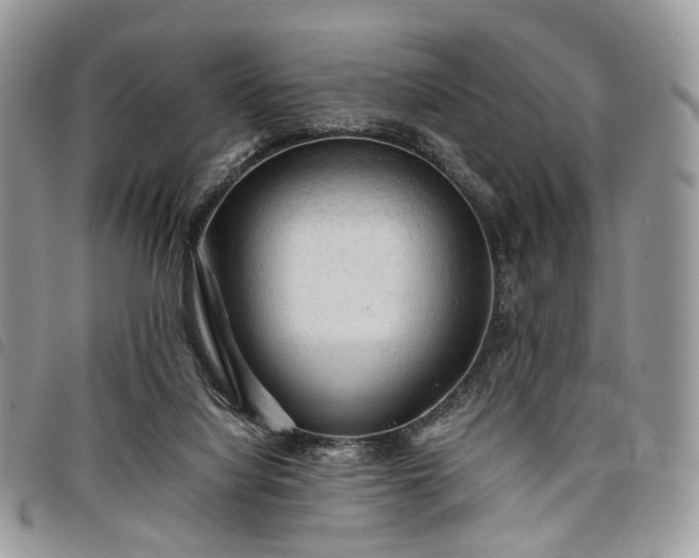 X0000098040068200804071452