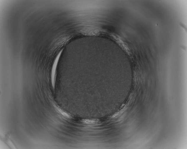 X0000098040069200804071452
