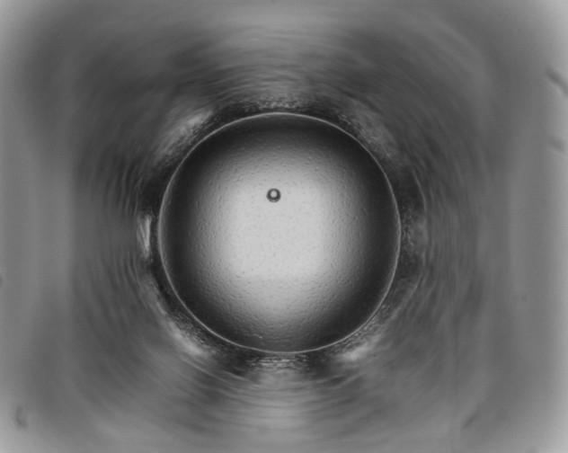X0000098040070200804071452