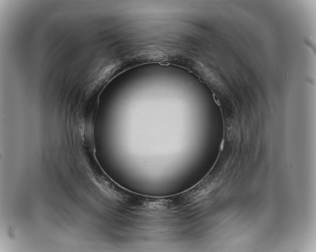 X0000098040072200804071452