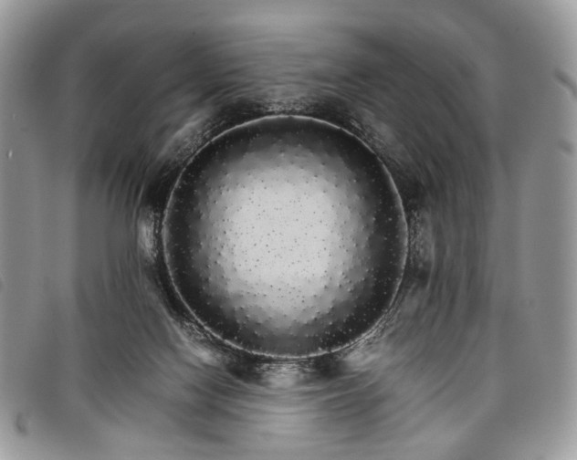 X0000098040074200804071452