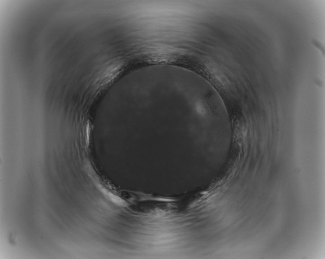 X0000098040076200804071452