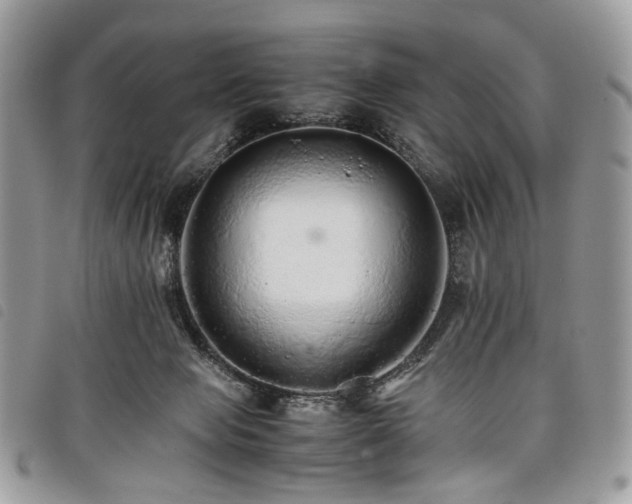 X0000098040077200804071452