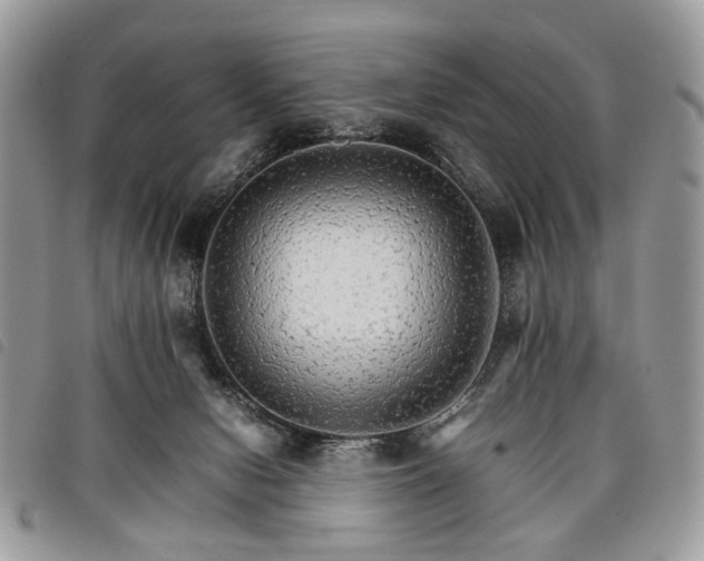 X0000098040078200804071452