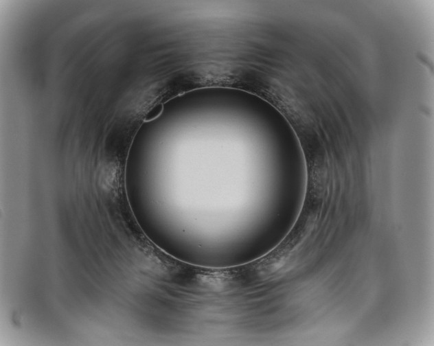 X0000098040079200804071452