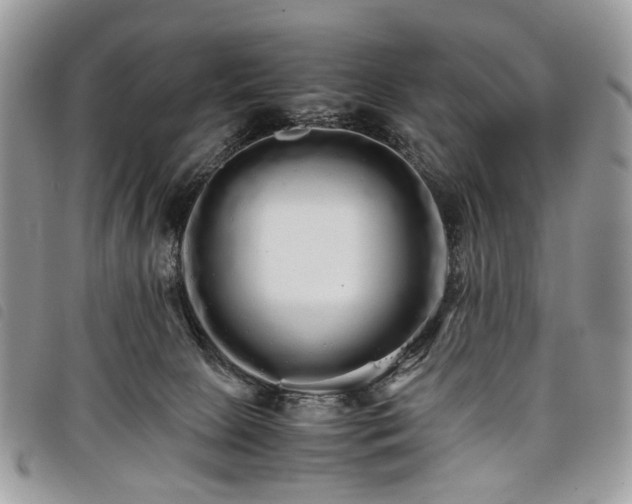 X0000098040081200804071452