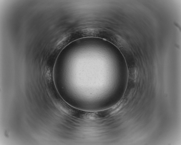 X0000098040086200804071452