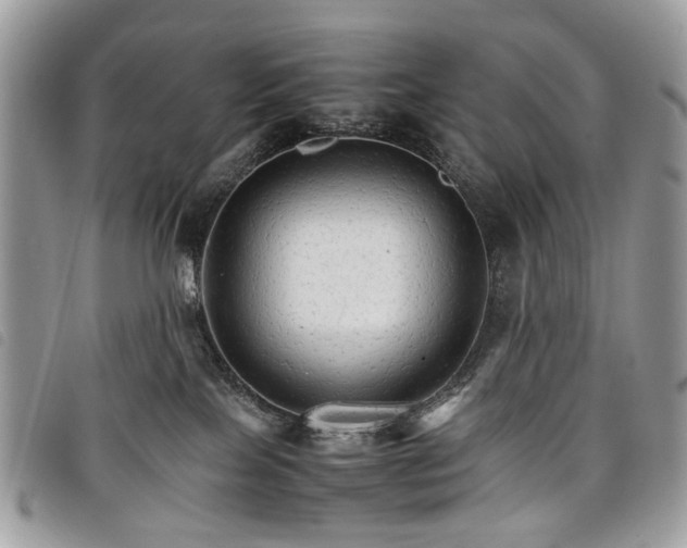 X0000098040089200804071453