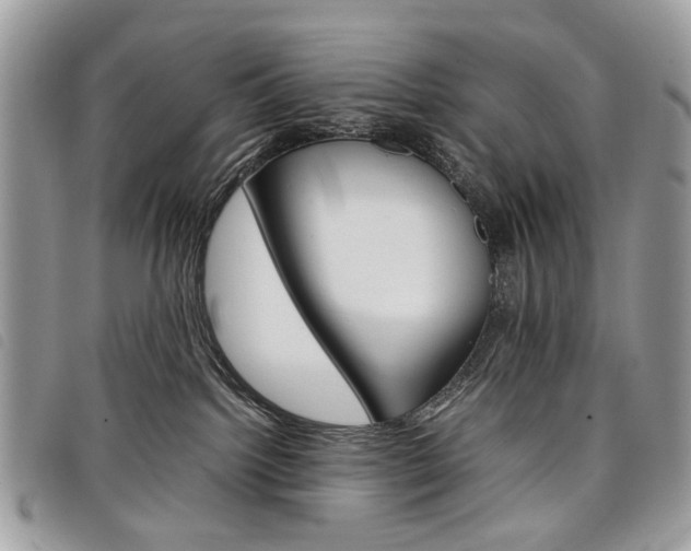 X0000098040092200804071453