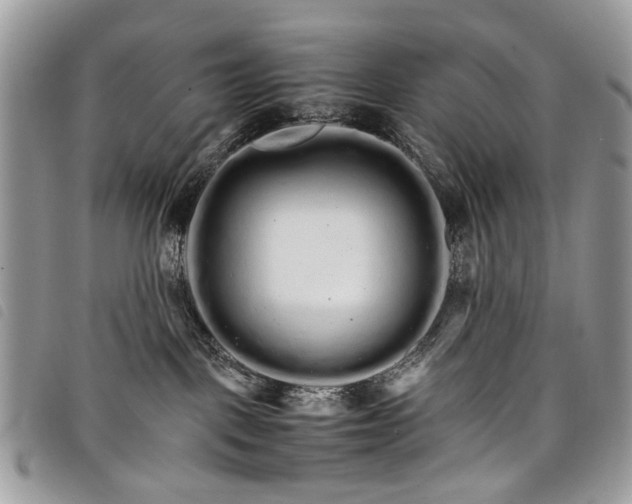 X0000098040093200804071453