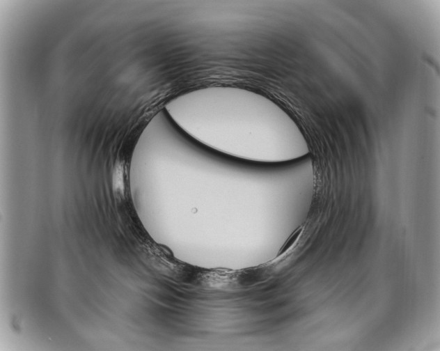 X0000098040094200804071453