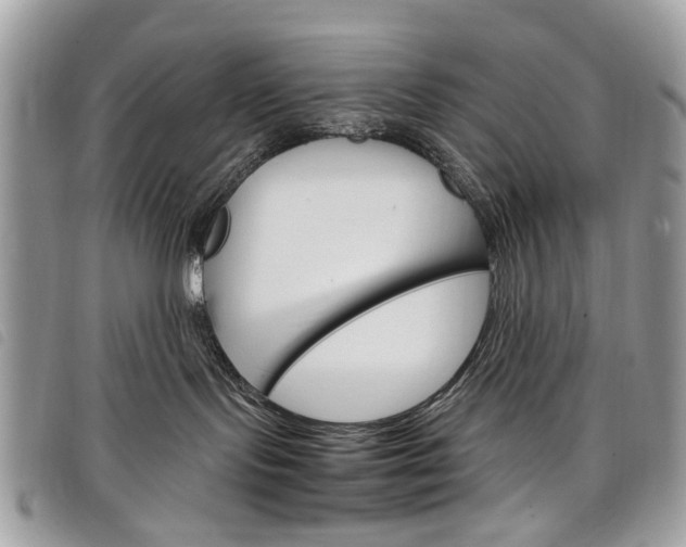 X0000098040095200804071453