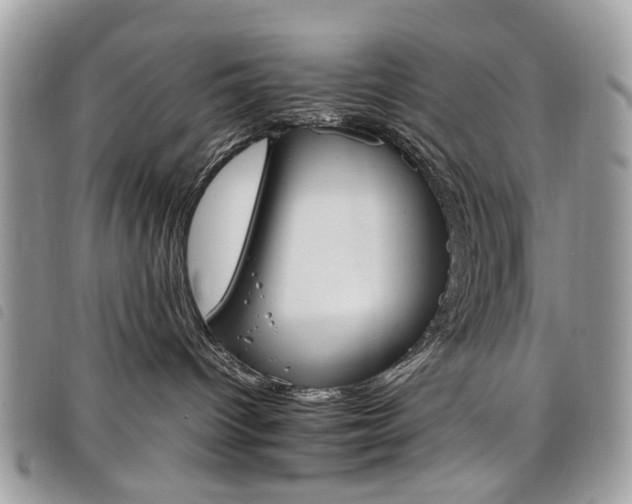 X0000098040096200804071453