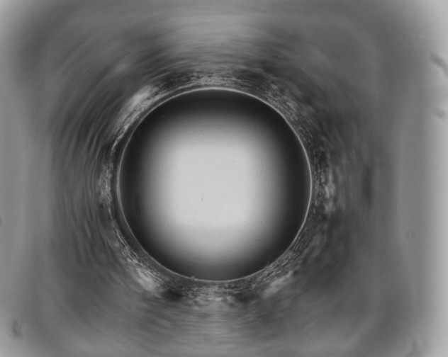 X0000098040098200804071452