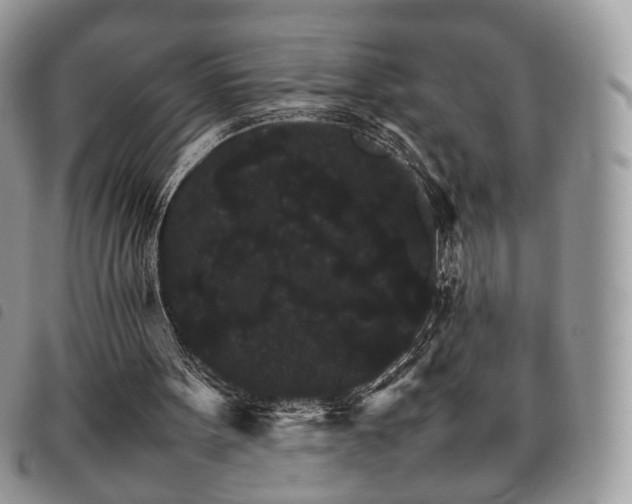 X0000098040099200804071452