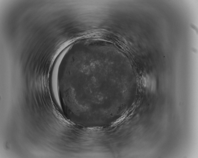 X0000098040100200804071452