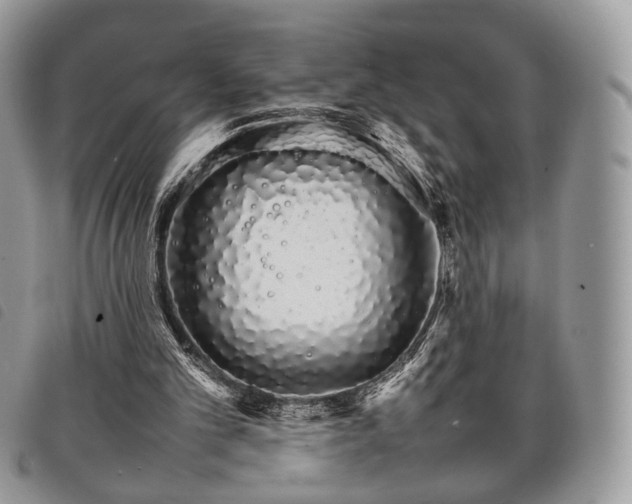 X0000098040101200804071452