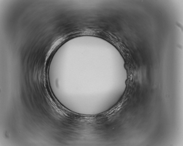 X0000098040102200804071452