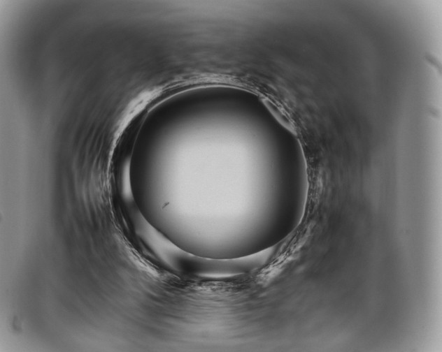 X0000098040104200804071452