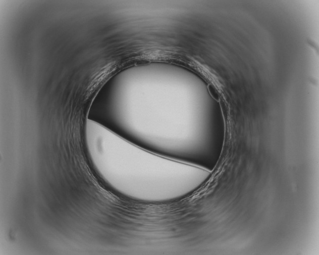 X0000098040105200804071451