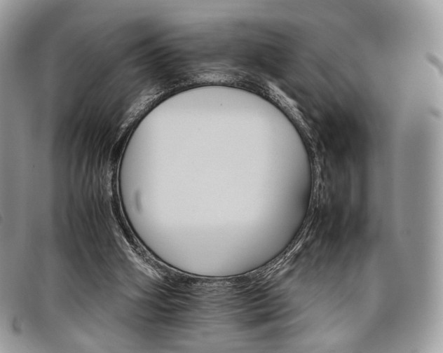 X0000098040106200804071451