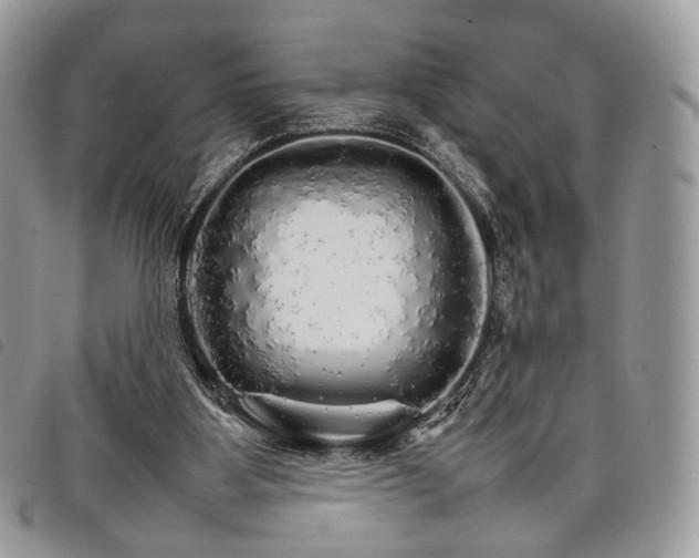 X0000098040107200804071451