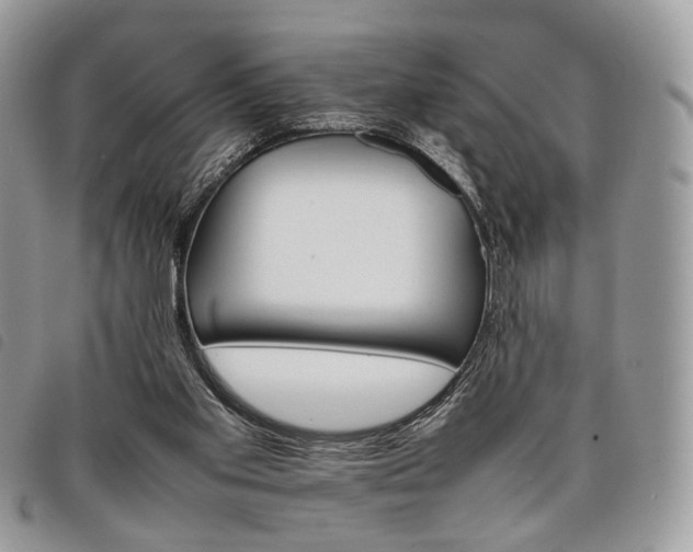 X0000098040109200804071451
