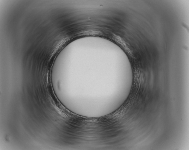 X0000098040110200804071451