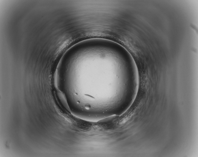 X0000098040111200804071451
