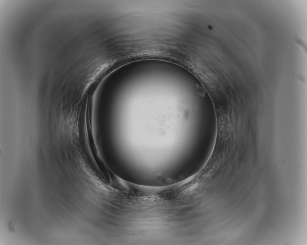 X0000098040112200804071451