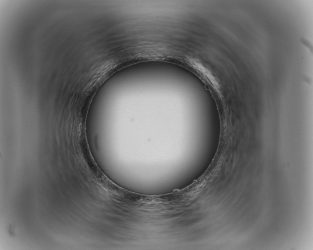 X0000098040113200804071451