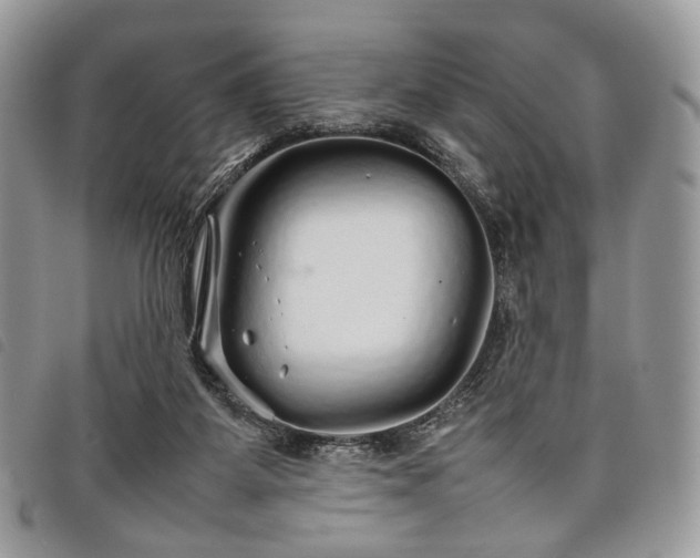 X0000098040115200804071451