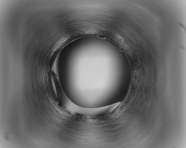 X0000098040116200804071451