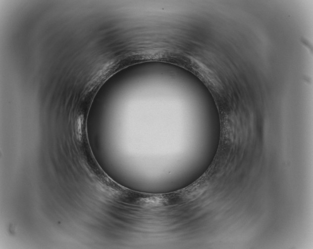 X0000098040118200804071451