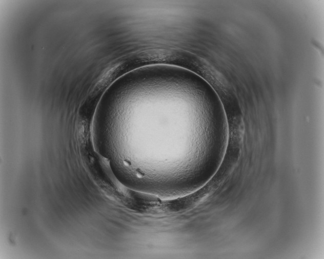 X0000098040119200804071451