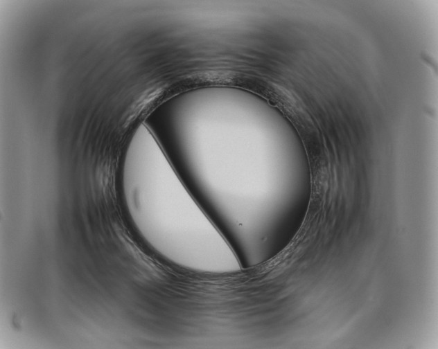 X0000098040120200804071451