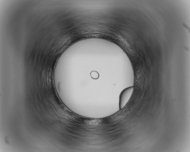 X0000098040122200804071451