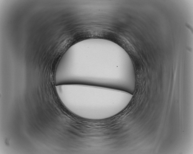 X0000098040123200804071451