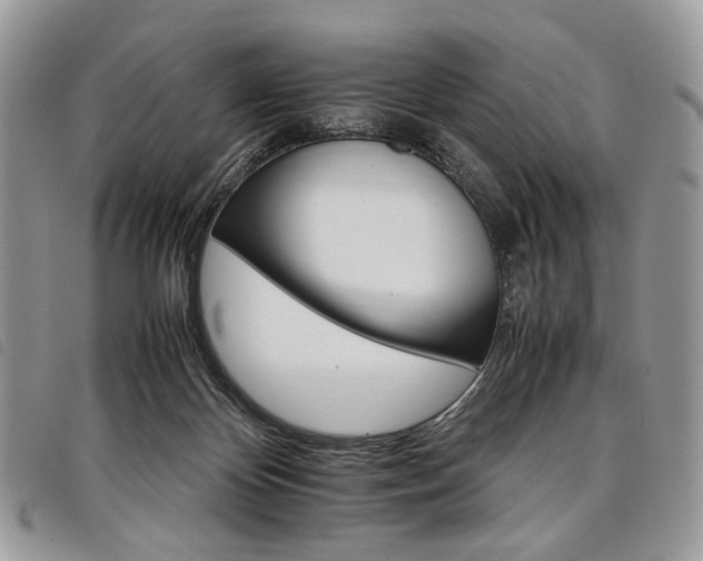 X0000098040124200804071451