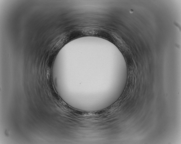 X0000098040125200804071451