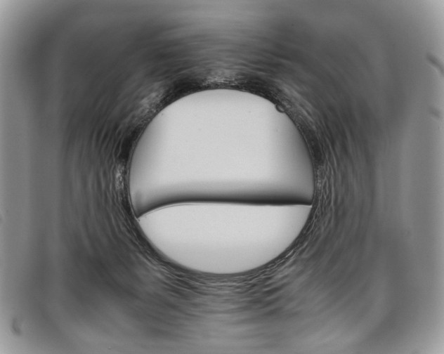 X0000098040127200804071451