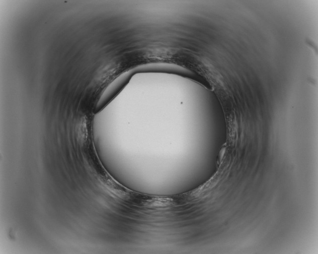 X0000098040128200804071451